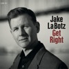 Jake La Botz - Everybody Got To Fall Down akkorde