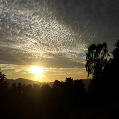 Bliss