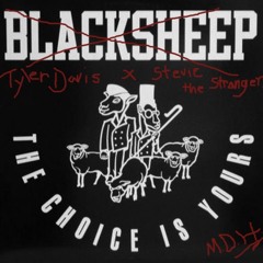 Tyler Davis x Stevie The Stranger - The Choice Is Yours (Remix)