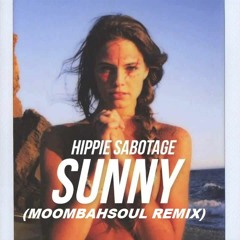 Your Soul - Hippie Sabotage (Moombahsoul Remix)