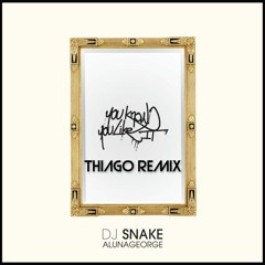 Dj Snake - YOU KNOW YOU LIKE IT (Thiago Remix)