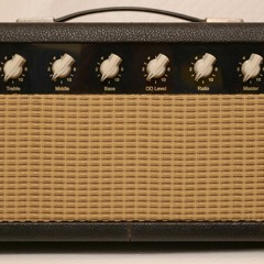 Clean Clip Traynor Conversion 102 50w ODS