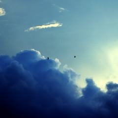 Black & Blue