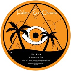 Max Essa - Blame it on Rea EP clips