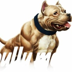 What These Bitches Want Remix