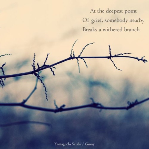 At the deepest point of grief, somebody nearby breaks a withered branch