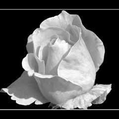 أنغام - حديث الصباح والمساء (البداية والنهاية)