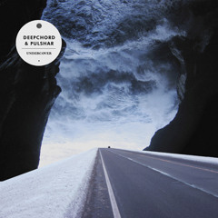 Deepchord & Pulshar - Undercover Version 3