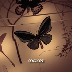(5) Cocoon - Songs.Without.Words - Karim Kamar