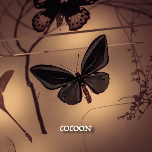 (5) Cocoon - Songs.Without.Words - Karim Kamar