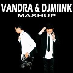 Raise Your Hands vs Take Me Home vs The Hum (Vandra & DJMIINK Mashup)