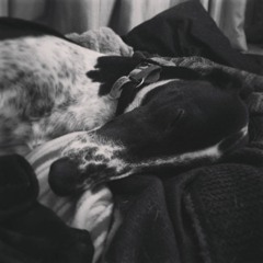 Sleep - Dandy Warhols (ukulele loop cover)