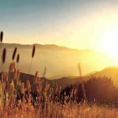 Amanda "Pronto Terminará" prod. Dramatic Symphony