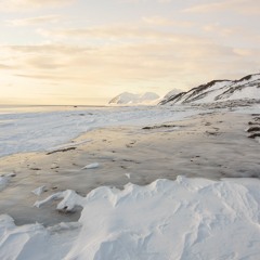 Arctic Tundra Guided Meditation ~ Yoga Nidra for Better Sleep & Relaxation