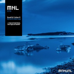 Kasall & Cristian R feat. Amber Long - My Soul (Dustin Nantais Remix) [preview]