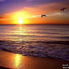 أنشودة نور حياتك بالهدى