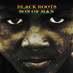 Black Roots - Son Of Man [Soulbeats Records 2015]