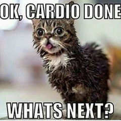 FITnessMIX