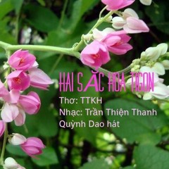 Hai Sắc Hoa Tigon