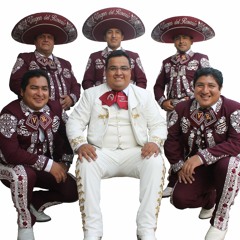Listen to 6 Si Nos Dejan Mariachi Virgen del Rosario Lima Perú by Juan Cuya  Rosario in Mariachis en Lima Virgen del Rosario playlist online for free on  SoundCloud