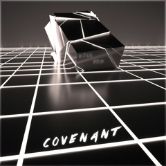 Will & Tim - Covenant