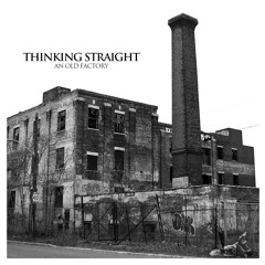 Thinking Straight - Beauty Is Pain