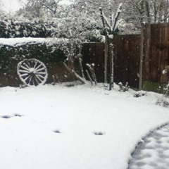 Have Yourself A Merry Little Christmas