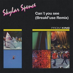 Skylar Spence - Can´t You See (Breakfuse Remix)FREE DLL