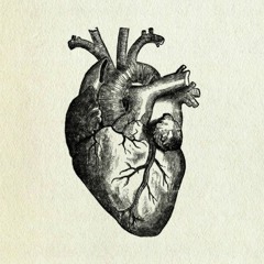 Heart Genetics Feature