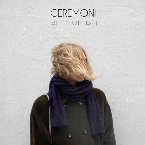 Bit för bit