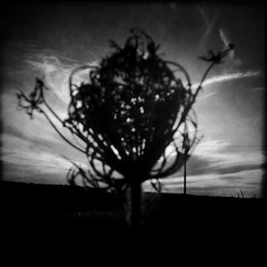 The Night That Hides Things From Us