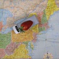 From The Battlefields To The Strawberry Fields