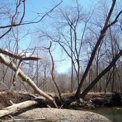 Wanderings on the Divide