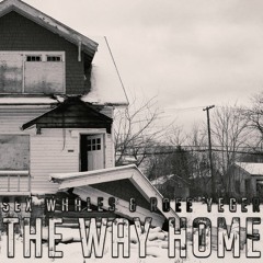 Sex Whales & Roee Yeger - The Way Home