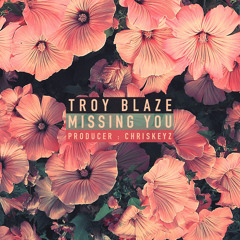 Missing You Troyblaze