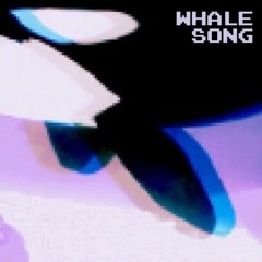 Whale Song