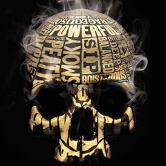 SUBSTORM & INSPECTOR C • SKULLTULA