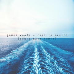 james woods - road to mexico (denis neve remix) [free dl]