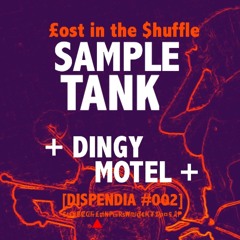 Dingy Motel LP