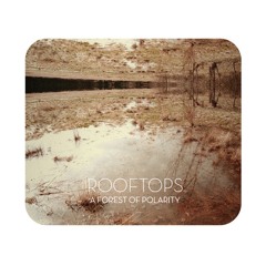 Rooftops - A Forest of Polarity