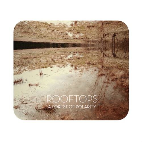 Rooftops - A Forest of Polarity