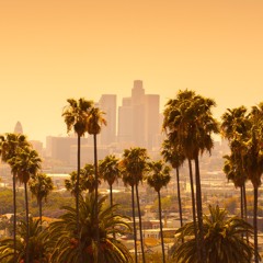 Danny Darko - Los Angeles ft. Hannah Young (FIVESTVR Remix)