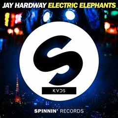 Jay Hardway- Electric Elephants (Region 82 Remix)