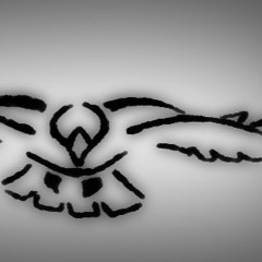 Last Flight Of The Hawk