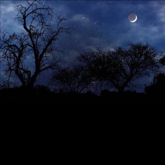 لا تخلي الليل من كاسك ومن عمرك يروح