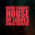 Artwork for House Of Leaves (Circa Survive Rework)