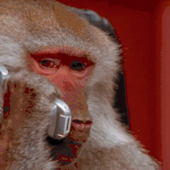 FridayNite - Celly Blowing Up // NBOMe remix ( @fridaynitee )