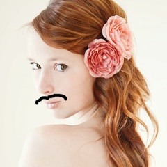 Case (chev311e cover)