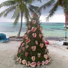 Tropical Christmas Carol