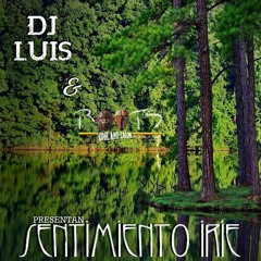 Sentimiento Irie by Dj Louis